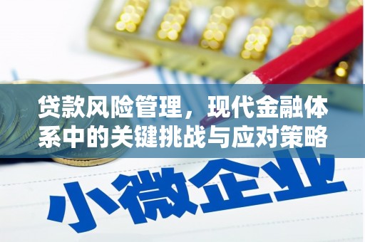 南安贷款风险管理，现代金融体系中的关键挑战与应对策略