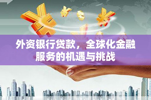 土默特左旗外资银行贷款，全球化金融服务的机遇与挑战