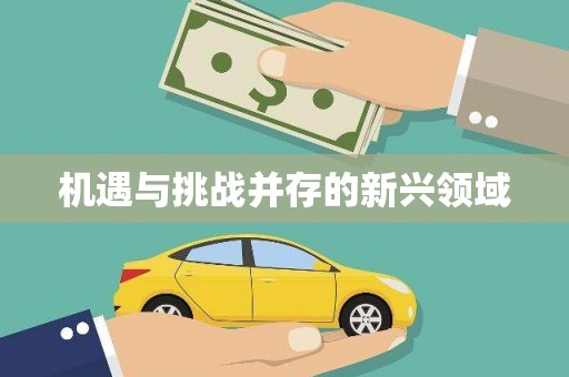 嵊泗机遇与挑战并存的新兴领域