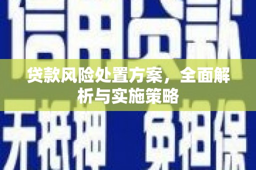 荣县贷款风险处置方案，全面解析与实施策略
