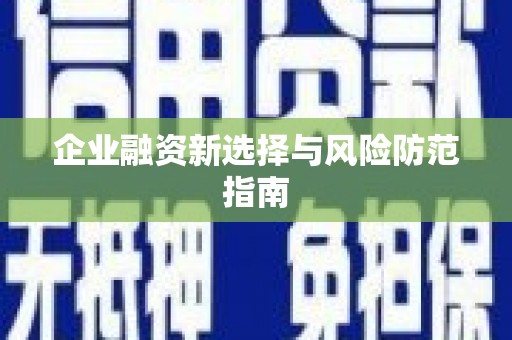 四湖企业融资新选择与风险防范指南