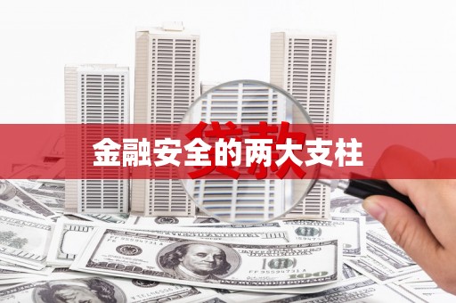 中方金融安全的两大支柱