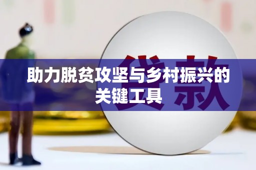 桃江助力脱贫攻坚与乡村振兴的关键工具