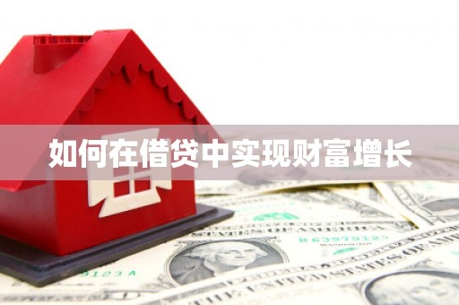 巧家如何在借贷中实现财富增长